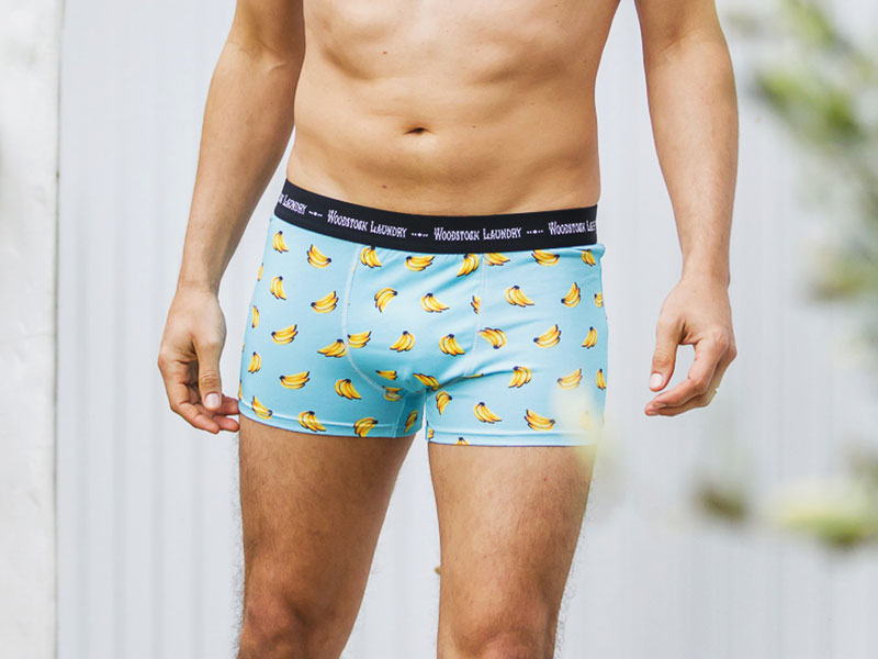 Woodstock Laundry Boxer Briefs