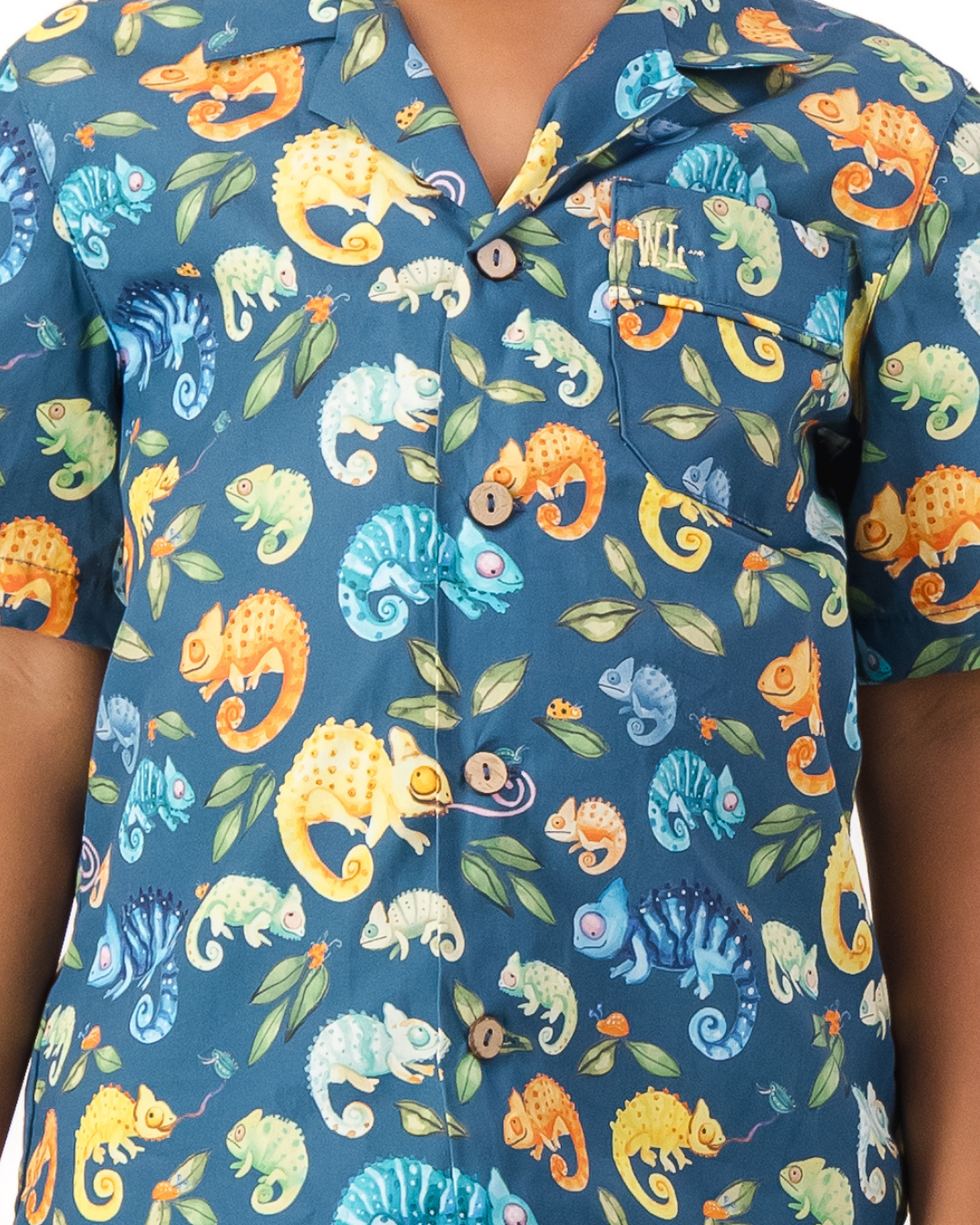 Boys Short Pyjamas - Chameleons on Blue