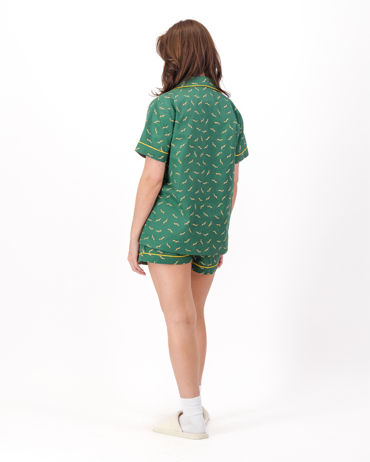 Womens Short Pyjamas - Custom Springboks Yellow Bok on Green