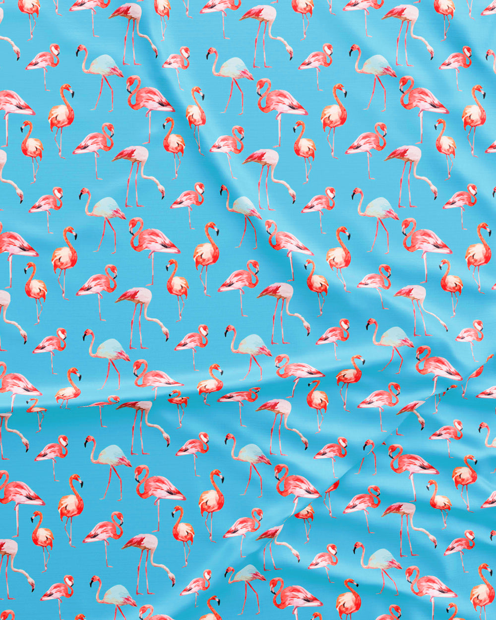 Flamenco-Flamingo Blue Pattern Detail - Woodstock Laundry