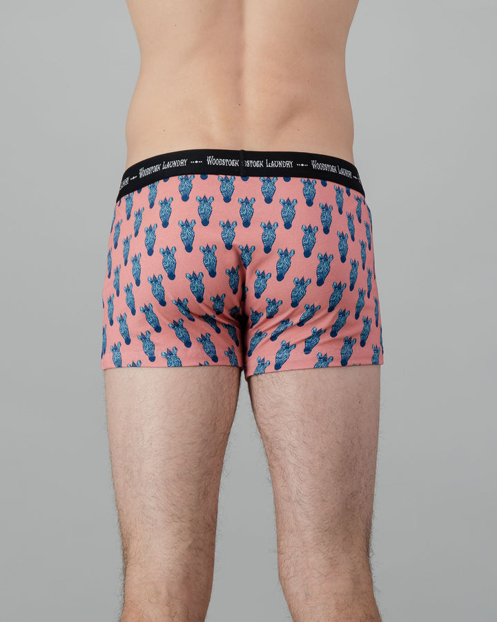 Mens Boxer Briefs - Turquoise Zebra Heads on Pink Back - Woodstock Laundry
