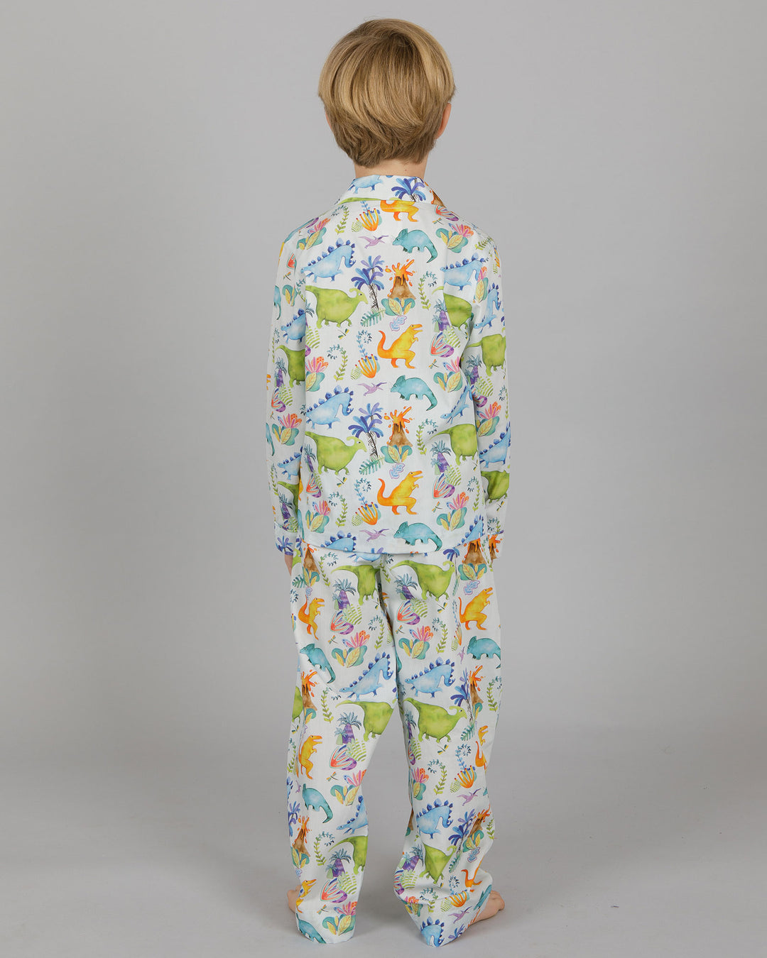 Boys Long Pyjamas Dinosaurs Blue Back - Woodstock Laundry