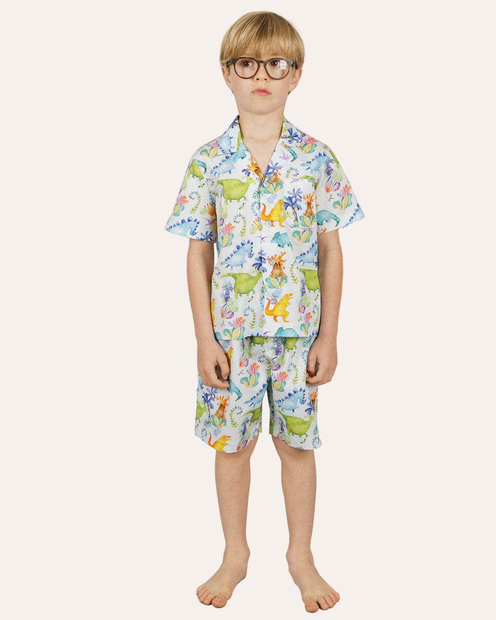 Boys Short Pyjamas - Dinosaurs on Blue Front - Woodstock Laundry