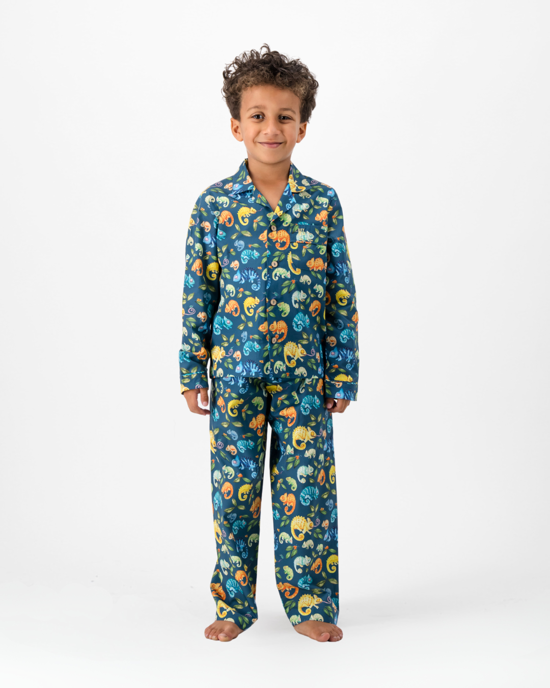 Boys Long Pyjamas - Chameleons on Blue