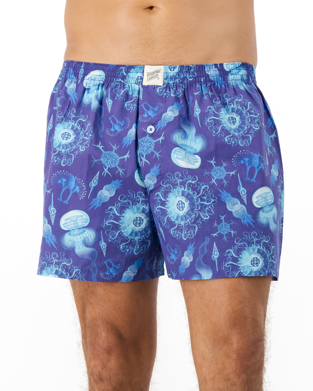 Mens Boxer Shorts - Haeckel Navy