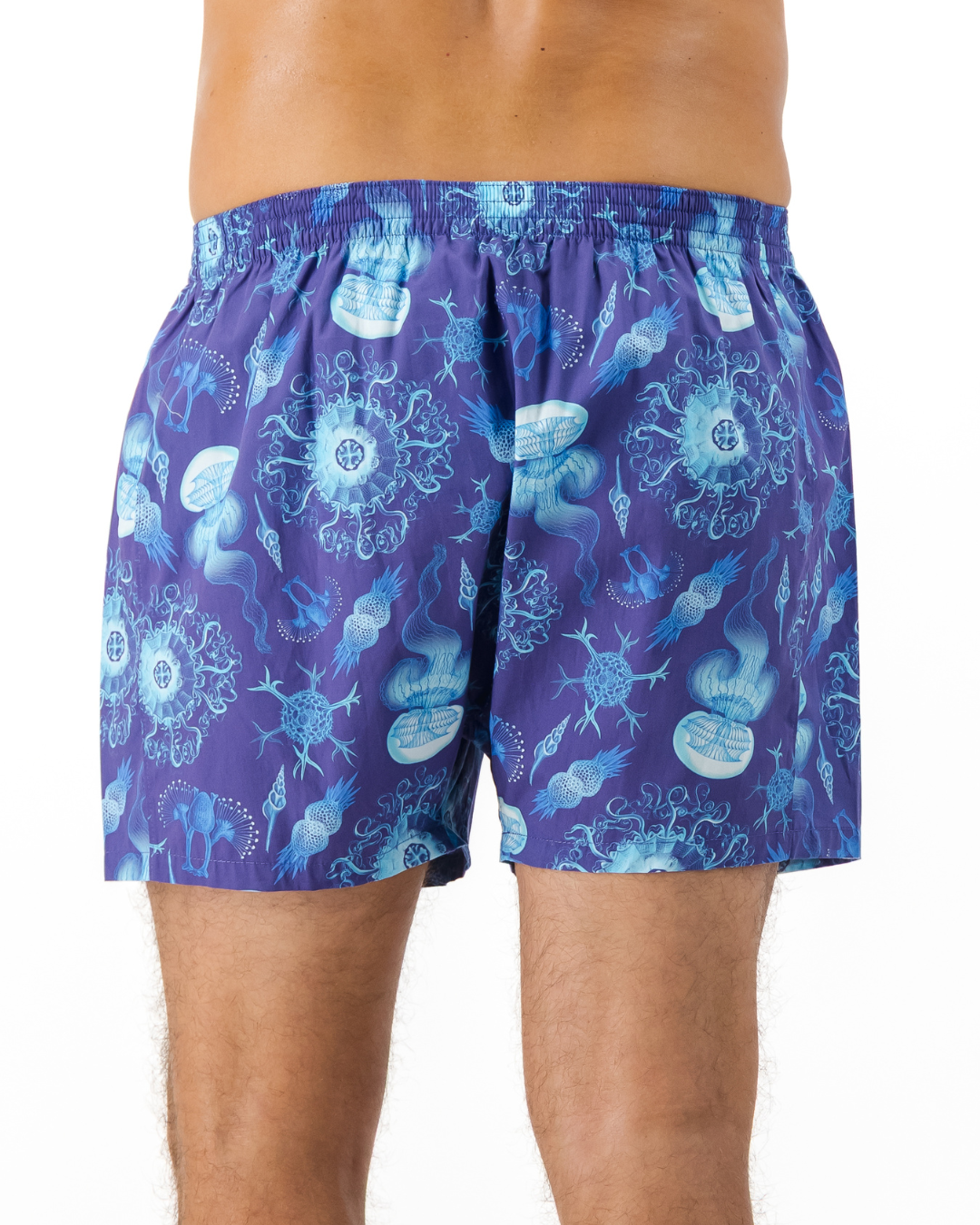 Mens Boxer Shorts - Haeckel Navy