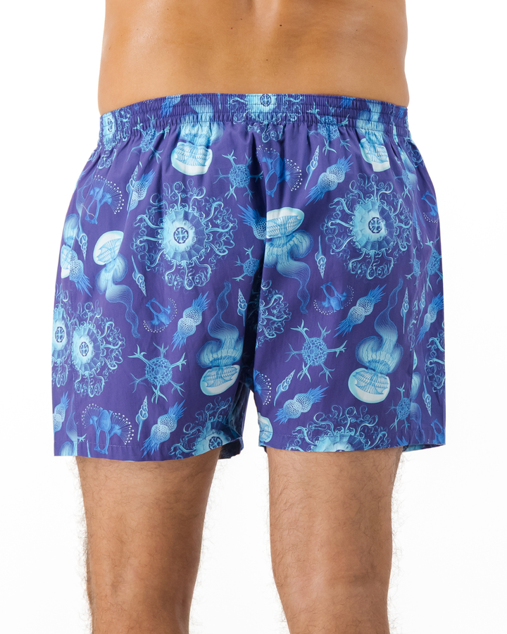 Mens Boxer Shorts - Haeckel Navy