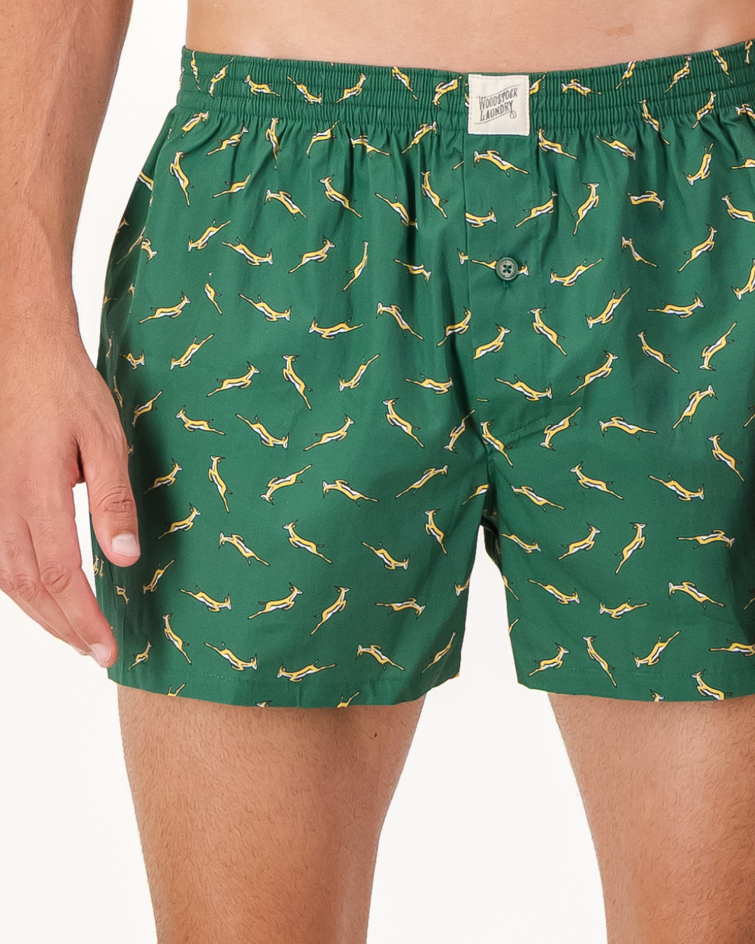 Mens Boxer Shorts - Custom Springboks Yellow Bok on Green