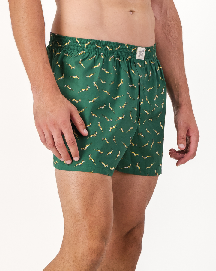Mens Boxer Shorts - Custom Springboks Yellow Bok on Green