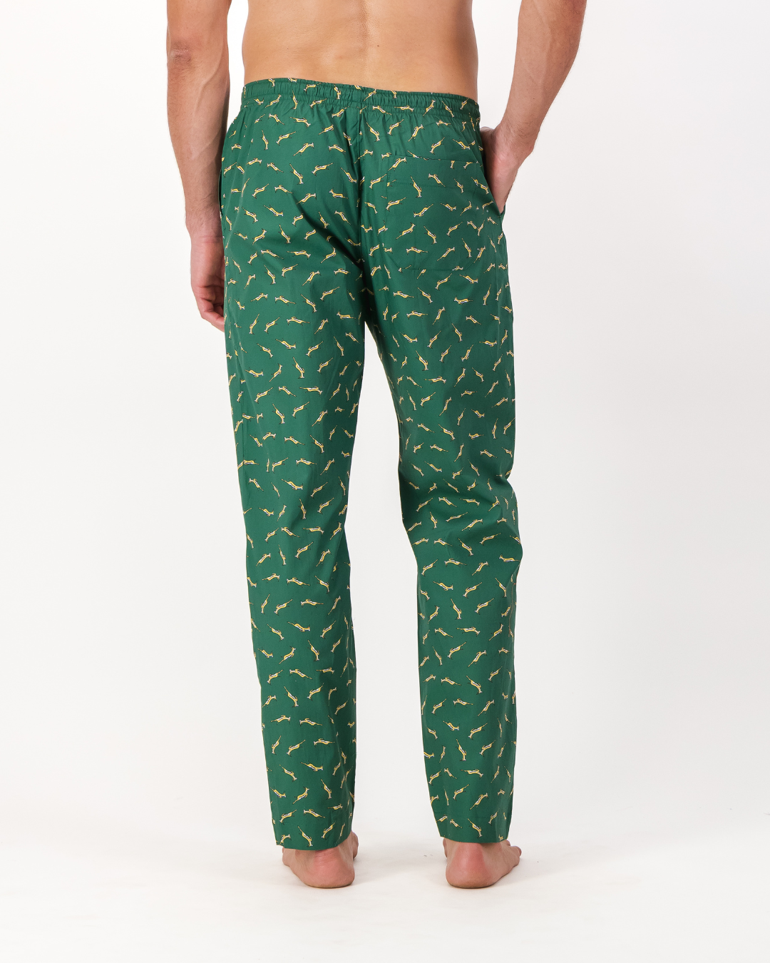 Mens Lounge Pants - Custom Springboks Yellow Bok on Green
