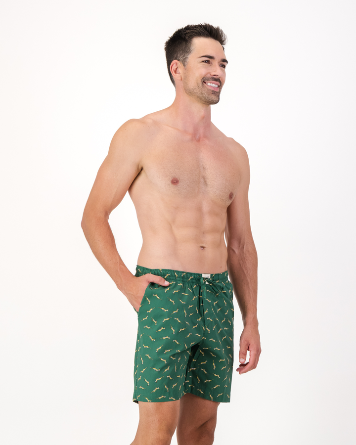 Mens Lounge Shorts - Custom Springboks Yellow Bok on Green