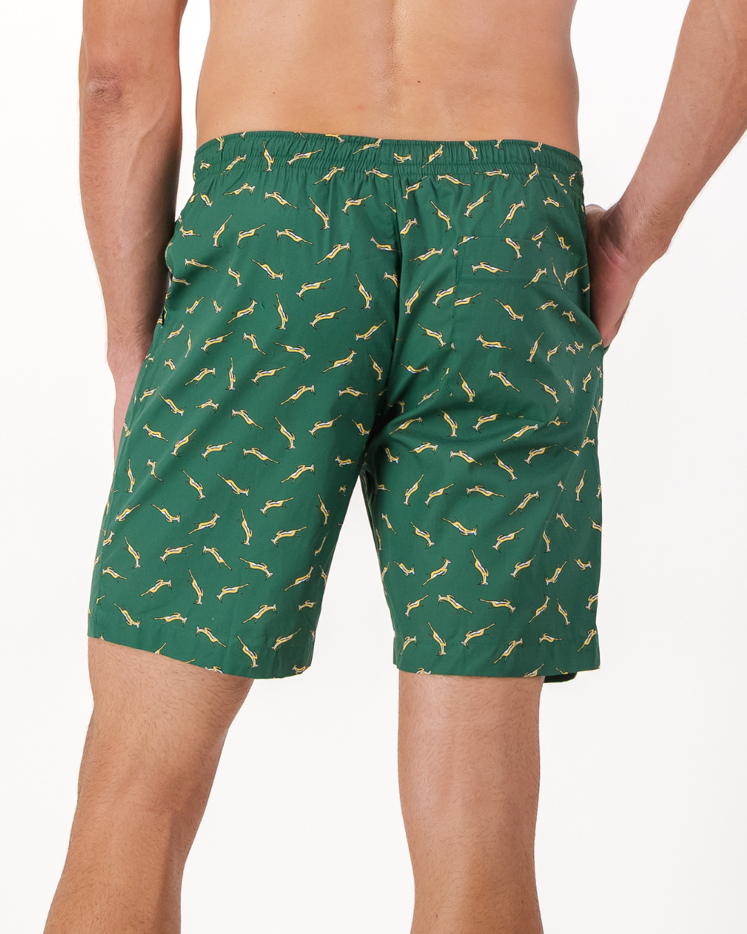 Mens Lounge Shorts - Custom Springboks Yellow Bok on Green