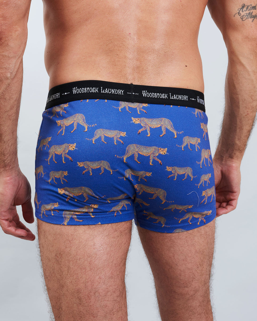 Mens Boxer Briefs - Cheetahs on Blue