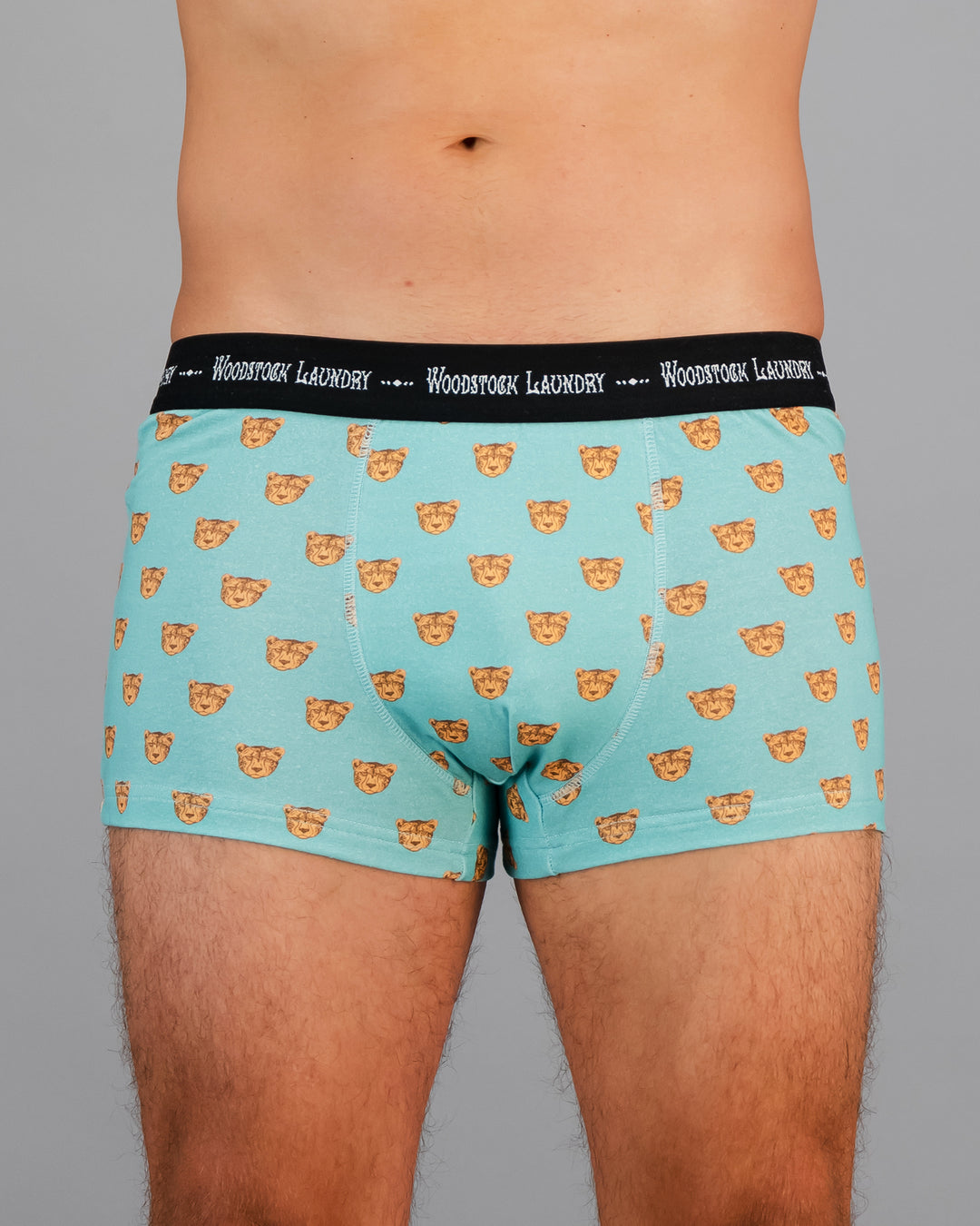 Mens Boxer Briefs Cheetah Heads Front - Woodstock Laundry