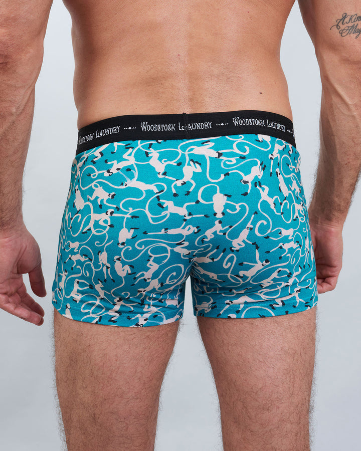 Mens Boxer Briefs - Monkeys on Teal Back - Woodstock Laundry