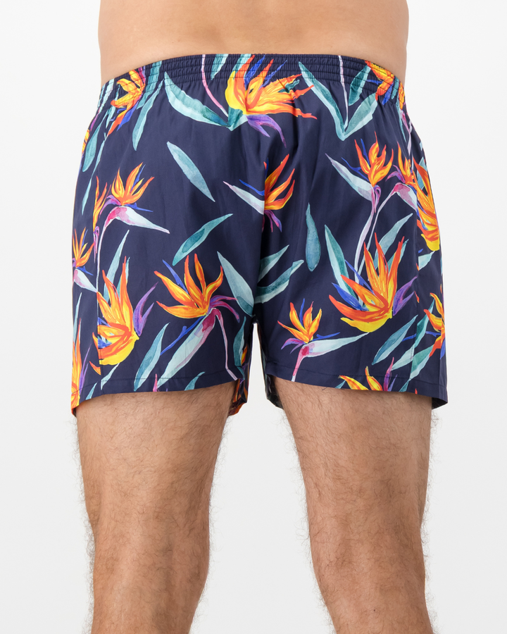 Mens Boxer Shorts - Strelitzia on Black