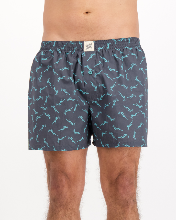 Mens Boxer Shorts - Custom Springboks Teal Bok on Charcoal