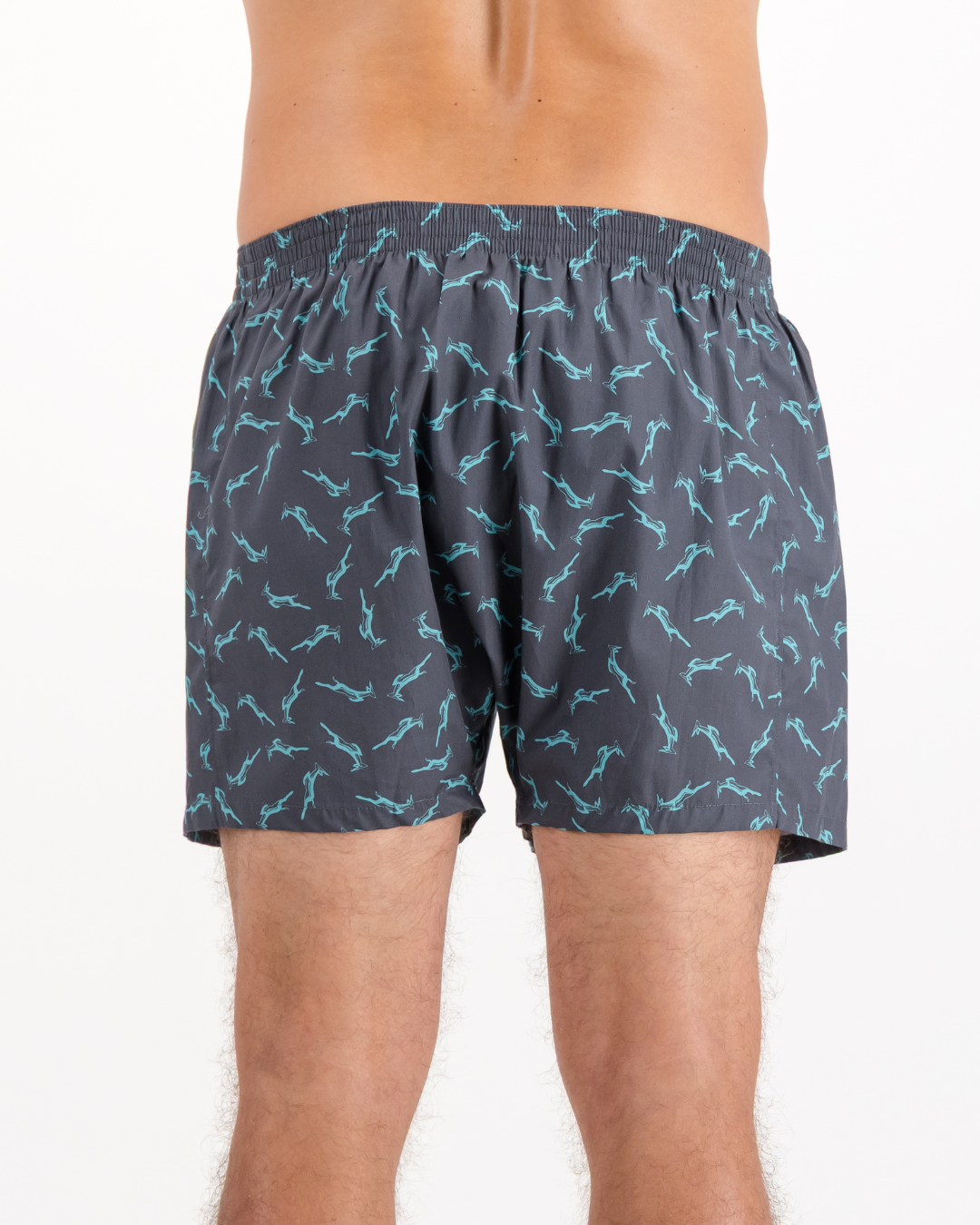 Mens Boxer Shorts - Custom Springboks Teal Bok on Charcoal
