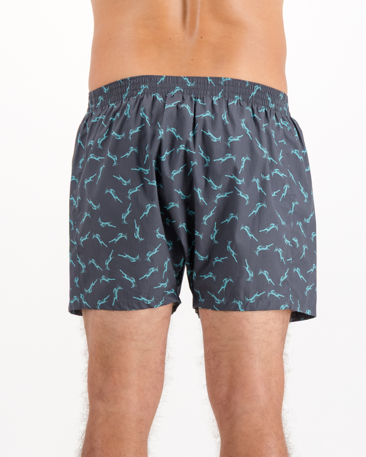 Mens Boxer Shorts - Custom Springboks Teal Bok on Charcoal