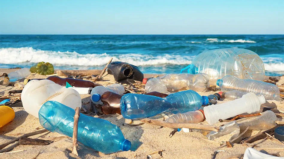 Plastic bottles litter a beach