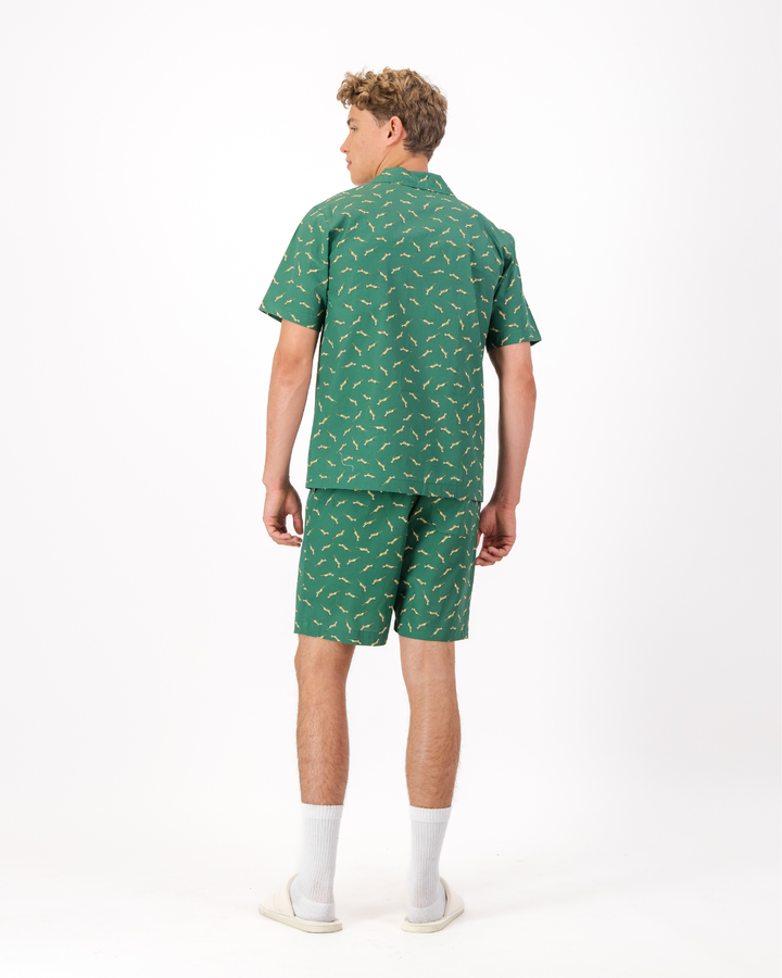 Mens Short Pyjamas - Custom Springboks Yellow Bok on Green