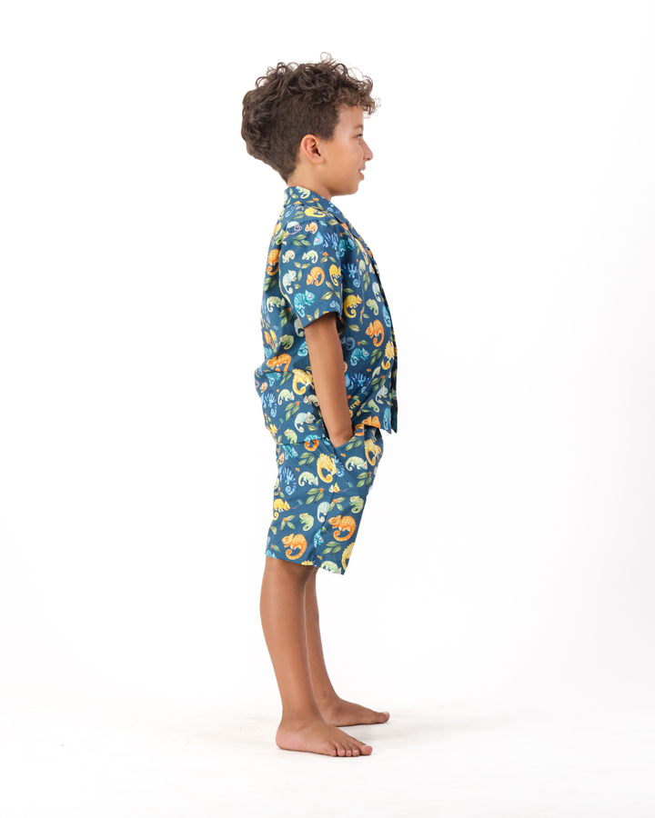 Boys Short Pyjamas - Chameleons on Blue