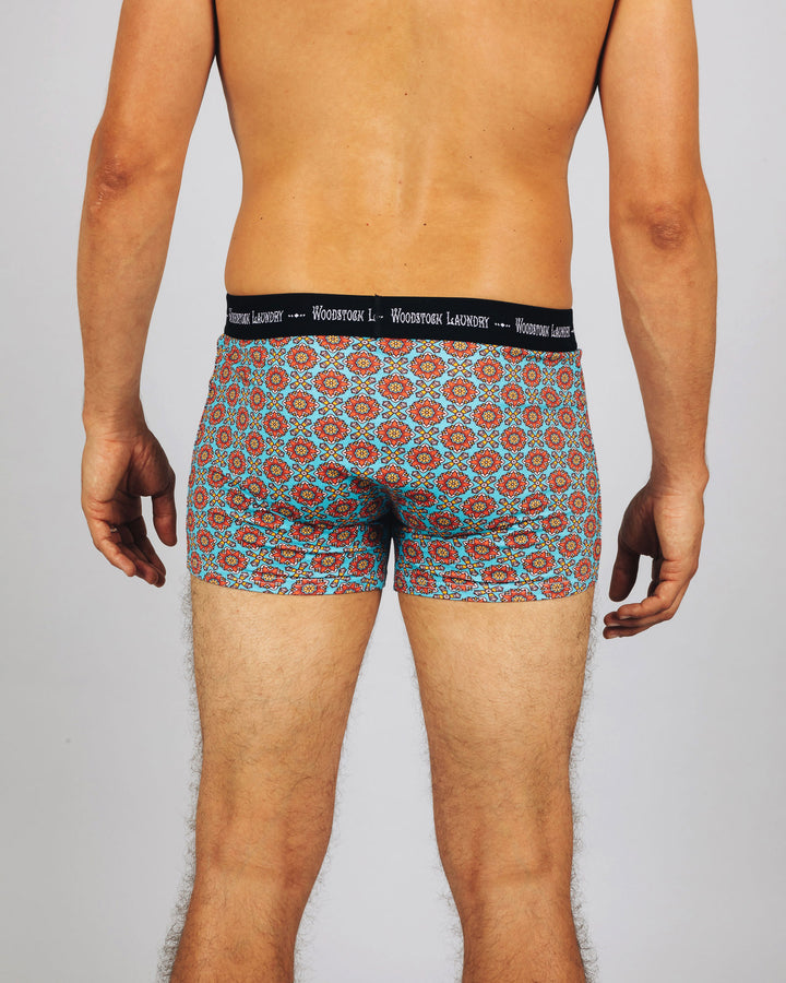 Mens Boxer Briefs Funky Disco Back - Woodstock Laundry