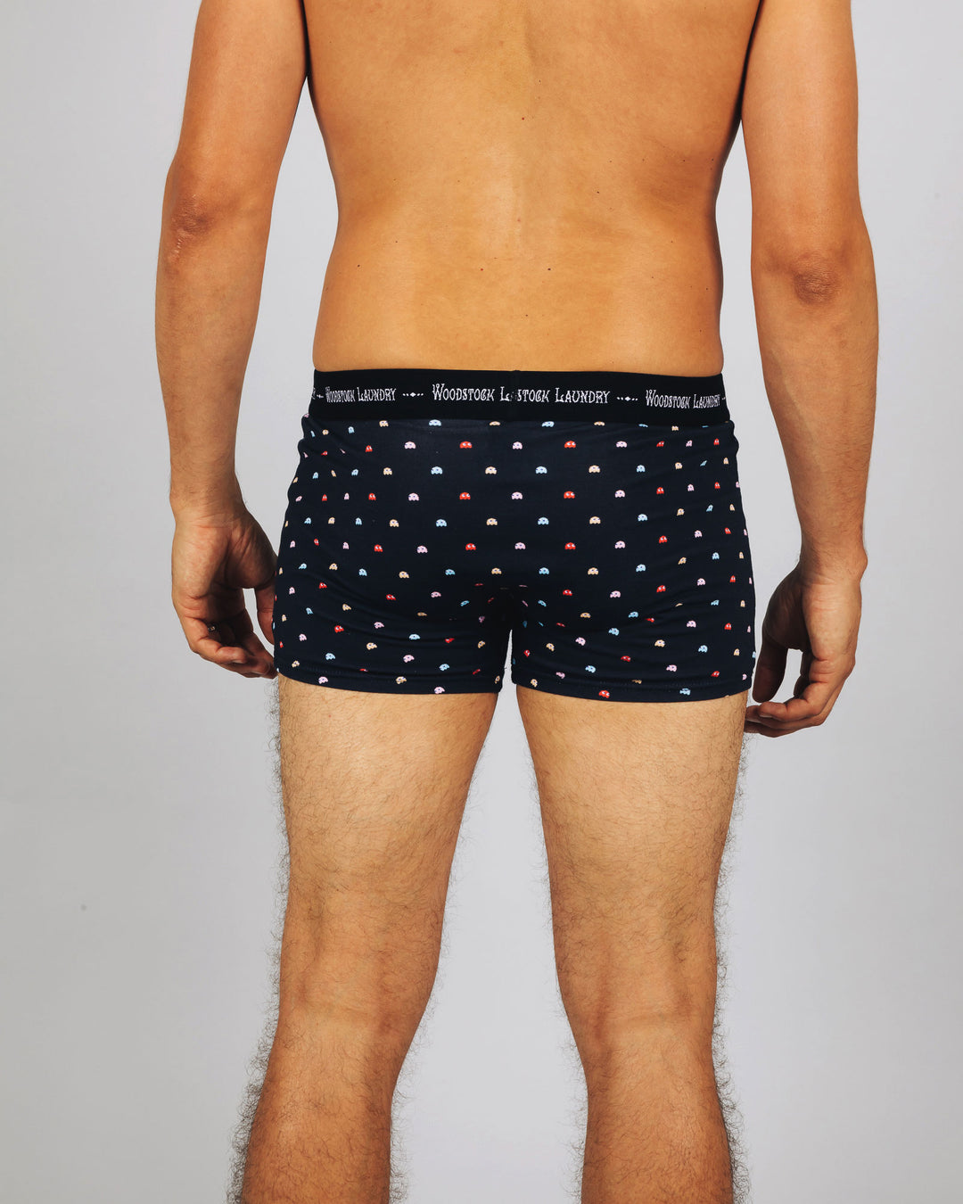 Mens Boxer Briefs P-Ghost Back - Woodstock Laundry