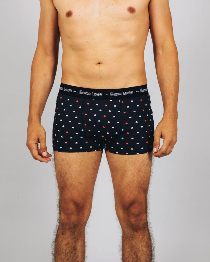 Mens Boxer Briefs P-Ghost Front - Woodstock Laundry