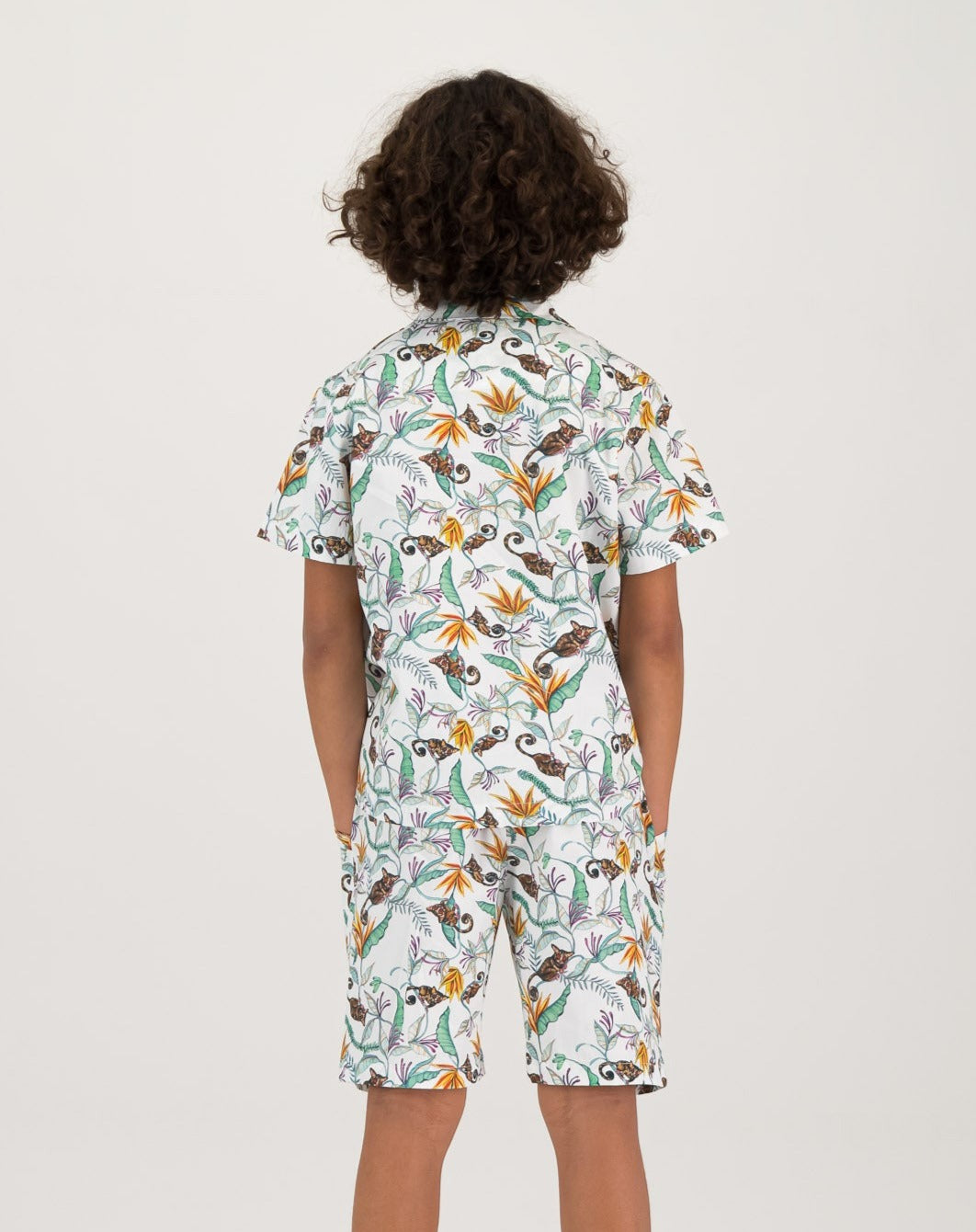 Boys Short Pyjamas Nag Apies White Back - Woodstock Laundry